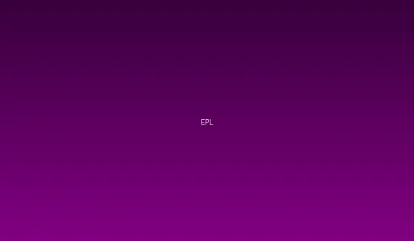 体育彩票与英超联赛官方合作